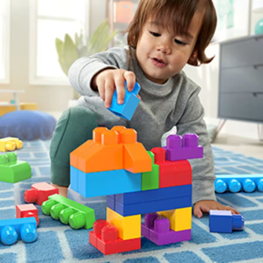 Bolsa Grande de Bloques de Construcción MEGA BLOKS First Builders (80 Piezas)